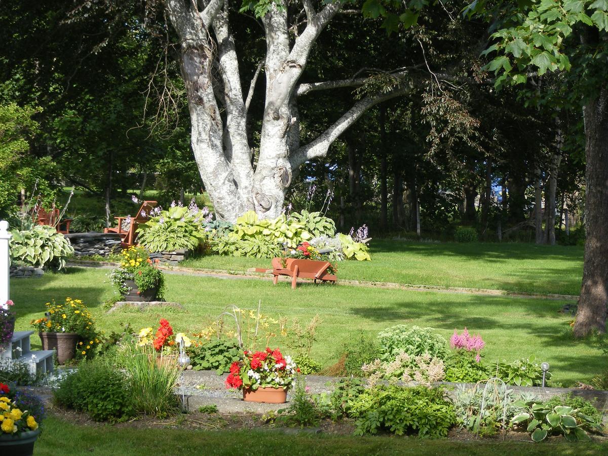 Rothesay House Heritage Inn B&B Harbour Grace Bagian luar foto