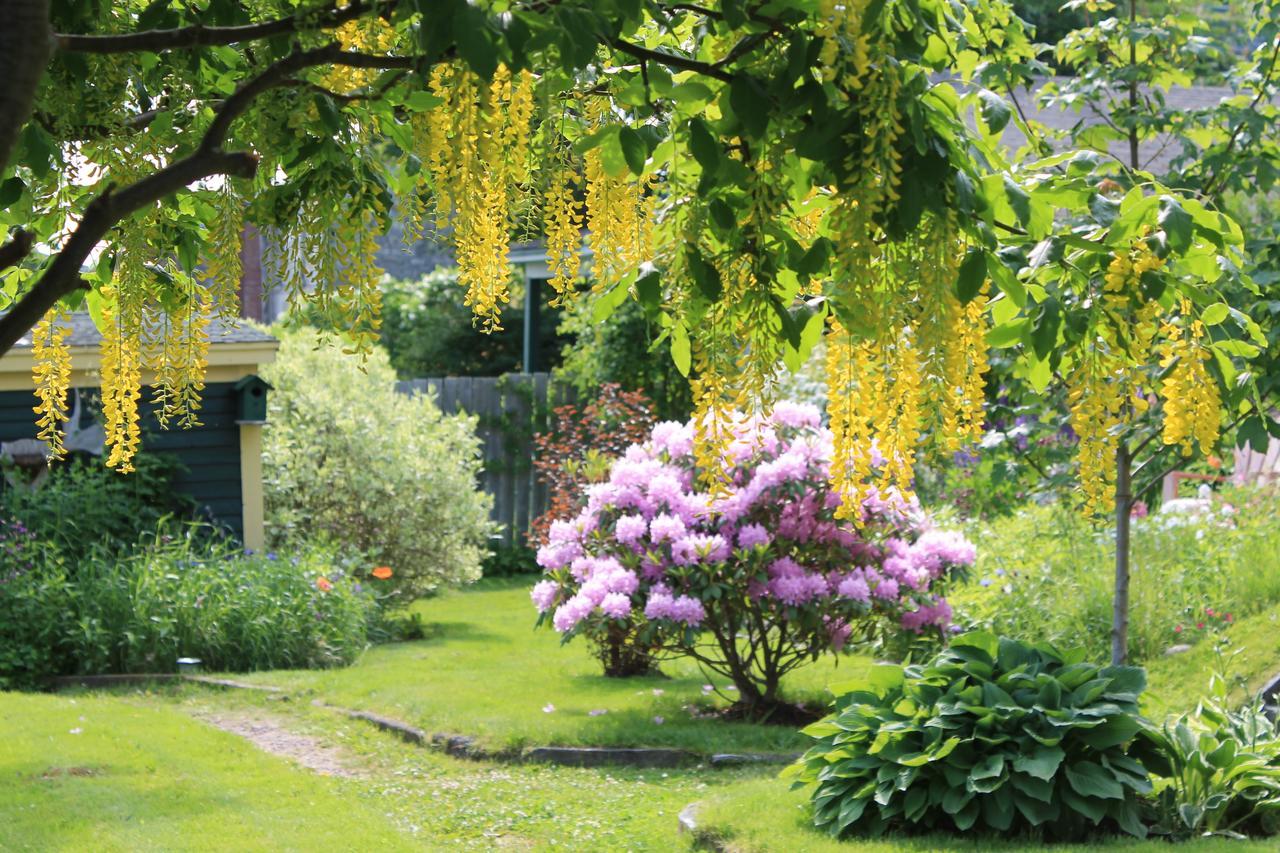 Rothesay House Heritage Inn B&B Harbour Grace Bagian luar foto