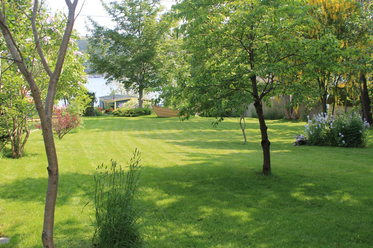 Rothesay House Heritage Inn B&B Harbour Grace Bagian luar foto